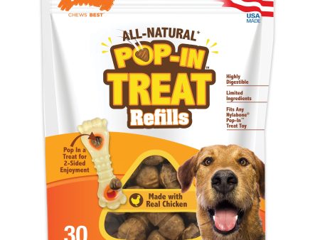 Nylabone All-Natural Pop-In Dog Treat Refills Chicken Pop-In 1ea All Sizes For Discount