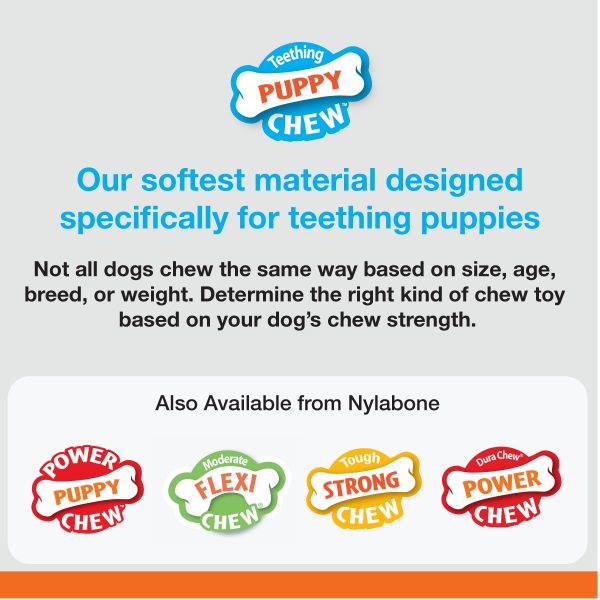 Nylabone Just for Puppies Teething Chew Classic Bone Classic Bone Chicken 1ea Medium Wolf - Up To 35 lb Hot on Sale