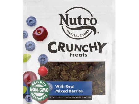 Nutro Products Crunchy Dog Treats Mixed Berry 1ea 16 oz For Cheap