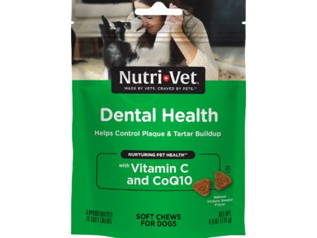 Nutri-Vet Dental Health Soft Chews for Dogs Hickory Smoke 70ct Hickory Smoke 1ea 70 ct Online now