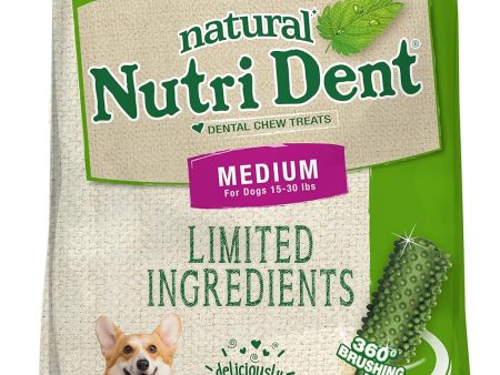 Nylabone Nutri Dent Fresh Breath Flavored Dental Chews Fresh Breath 1ea Medium - 15 Lbs. To 30 lb Online