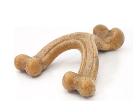 Nylabone Gourmet Style Strong Wishbone Dog Chew Toy Chicken 1ea SMall Regular - Up To 25 Ibs. Sale