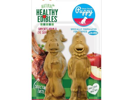 Nylabone Healthy Edibles Puppy Natural Long Lasting Lamb & Apple Dog Chew Treats Lamb & Apple 1ea Medium - Up To 30 lb For Discount